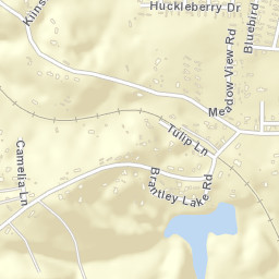 Brantleyville Alabama Street Map