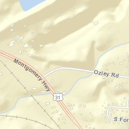 Saginaw Alabama Street Map