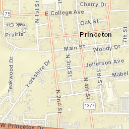 523 McKinney Avenue, Princeton, TX Street Map