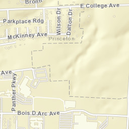 1223 East College Avenue, Princeton, TX Street Map
