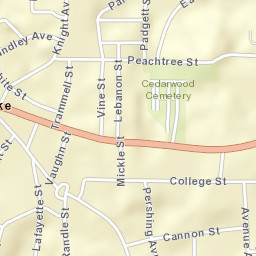 Roanoke Alabama Street Map