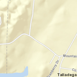 Talladega Springs Alabama Street Map