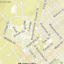 749-799 Middle Street, Montevallo, AL Street Map