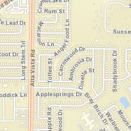 5016 Raisintree Drive Fort Worth TX Street Map