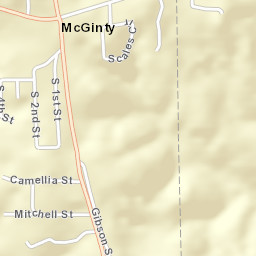 McGinty Alabama Street Map