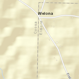 Welona Alabama Street Map