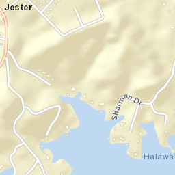 Jester Alabama Street Map
