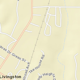 Livingston Alabama Street Map