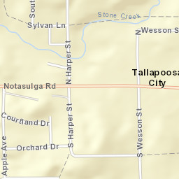 Tallapoosa City Alabama Street Map