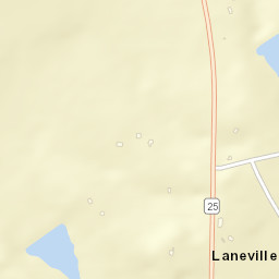 Laneville Alabama Street Map