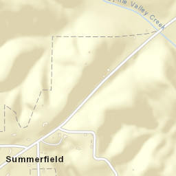 Summerfield Alabama Street Map