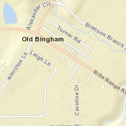 Old Bingham Alabama Street Map