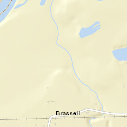 Brassell Alabama Street Map