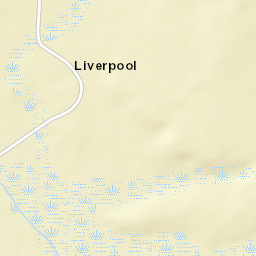 Liverpool Alabama Street Map