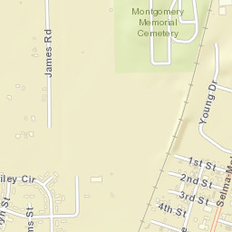Young Forte Village Alabama Street Map