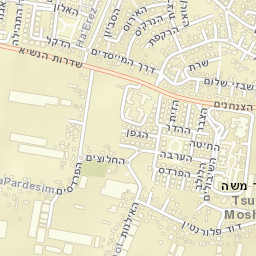 Ẕur Moshe Street Map