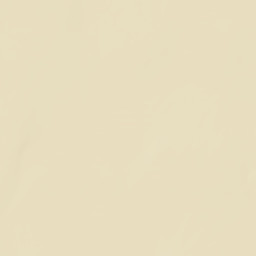 Ali Oidak Arizona Street Map