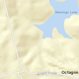 Octagon Alabama Street Map