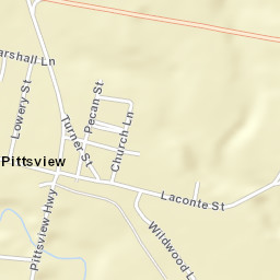 Pittsview Alabama Street Map