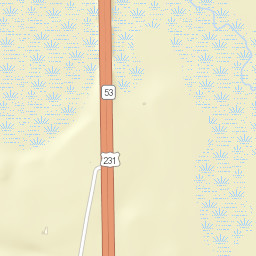 Troy Highway, Pike Road, AL 36064, USA Street Map