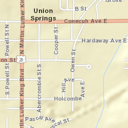 Union Springs Alabama Street Map