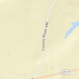 110 Co Rd 446 Carthage TX 75633 Street Map