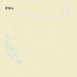 Ellis Alabama Street Map
