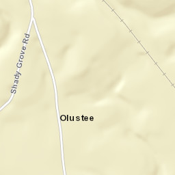 Olustee Alabama Street Map