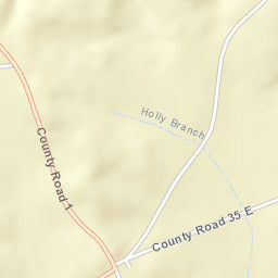 Lower Peach Tree Alabama Street Map