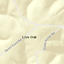Live Oak Alabama Street Map