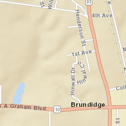 Brundidge Alabama Street Map