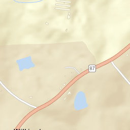 Wilkinstown Alabama Street Map