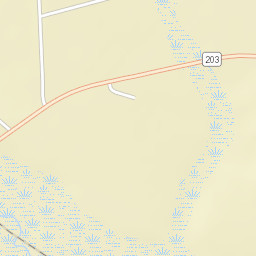 Highway 203, Baxley, GA 31513, USA Street Map