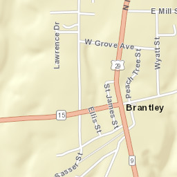 Brantley Alabama Street Map