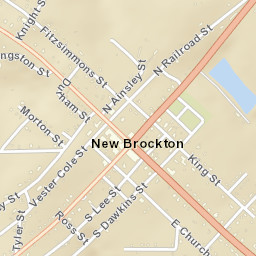 New Brockton Alabama Street Map
