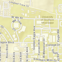 Longleaf Trace Hattiesburg MS 39401 Street Map