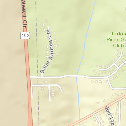 Pine Forest Alabama Street Map