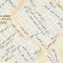 Sidi Bishr Street Map