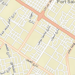 Port Said Street Map