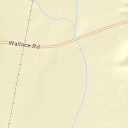 Wallace Alabama Street Map