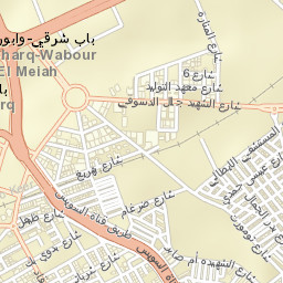 Alexandria Street Map