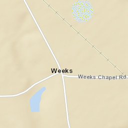 Weeks Alabama Street Map