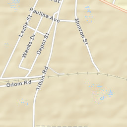 Gordon Alabama Street Map