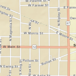 Samson Alabama Street Map