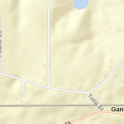 Gandyville Florida Street Map