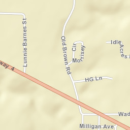 Milligan Florida Street Map