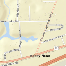 Mossy Head Florida Street Map