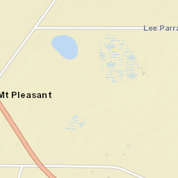 Mount Pleasant Florida Street Map