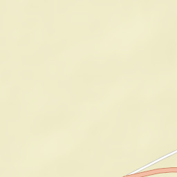 Sarai Sidhu Street Map