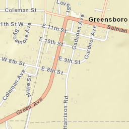 Greensboro Florida Street Map